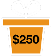 two hundred and fifty dollars